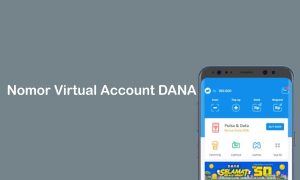 nomor virtual account dana